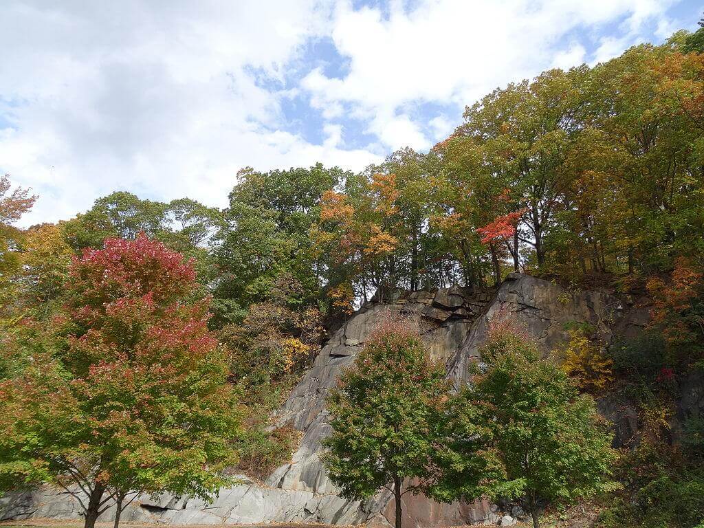 alapocas run state parK